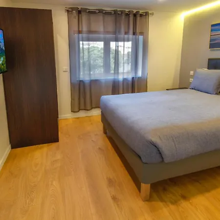 Modern With Garden *