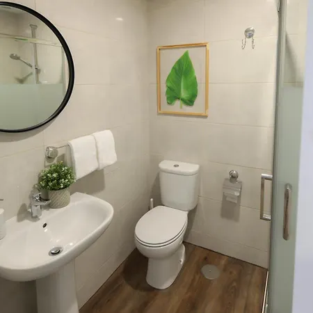 Modern With Garden *