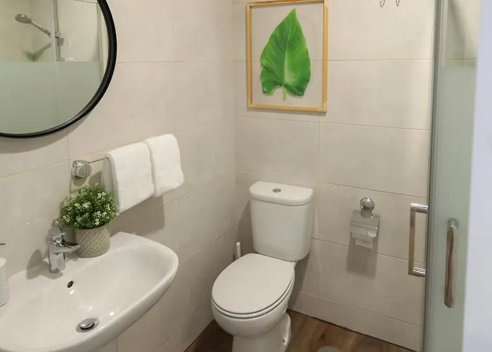 Modern With Garden *